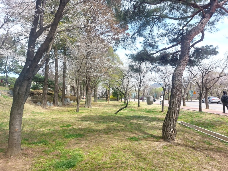 20250330_134323.jpg